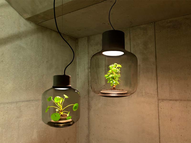 мощные лампы для растений