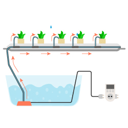 Cистема капельного полива растений