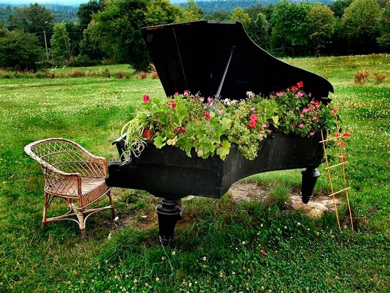 влияние музыки на растения