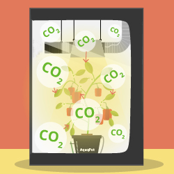 Влияние углекислого газа на растения