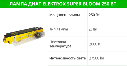 Elektrox SUPER BLOOM 250 Вт