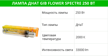 GIB Flower Spectre 250 Вт