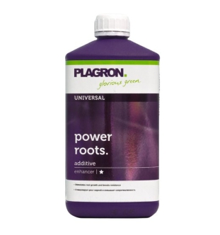 Power roots plagron