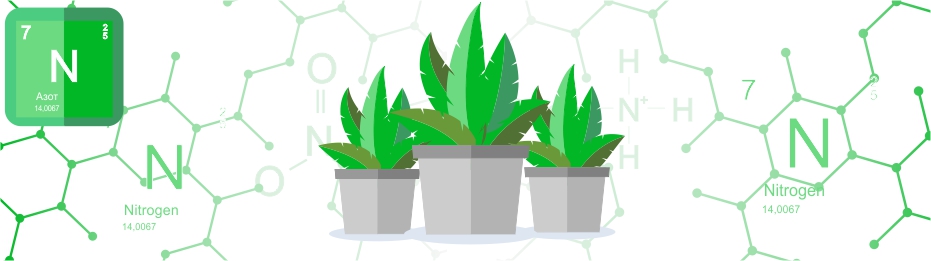 Роль азота в жизни растений