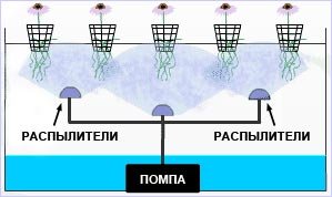 Гидропоника: оборудование для выращивания 37 Гидропоника: оборудование для выращивания 54