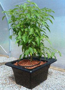 Гидропонная установка Flo-Gro 500 купить по выгодной цене