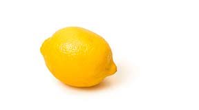 Лимон на гидропонике