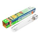 Лампа ДНаТ Plantastar 600 Вт