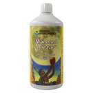 Стимулятор роста растений Diamond Nectar 1 л