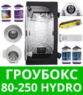 Гроубокс 80-250 Hydro Готовый гроубокс 80-250 Hydro