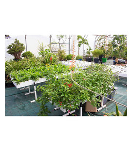 Аэропоные системы для выращивания растений AeroFlo