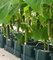 Easy2grow Extension Kit