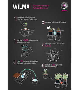 Система Wilma XL 8