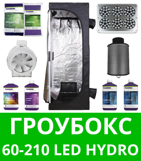 Купить Гроубокс Готовый Интернет Магазине