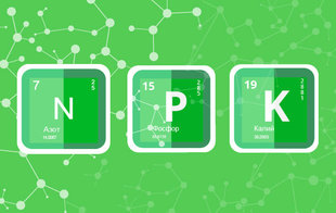 Удобрения в гидропонике: что такое NPK