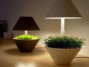 Как выбрать светодиодный светильник для растений